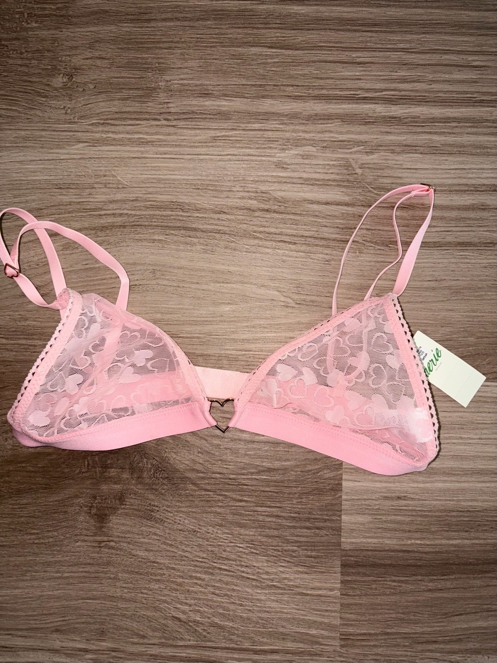 aerie Pink Sheer Lace Triangle Bralette